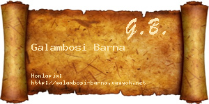 Galambosi Barna névjegykártya